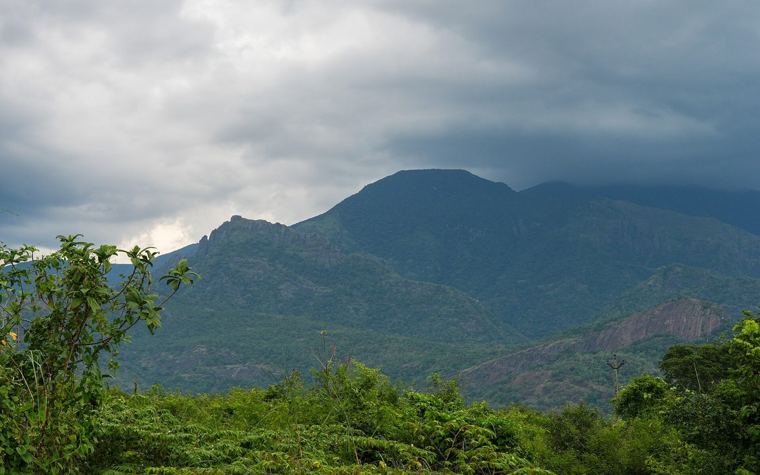 Forest-covered Western Ghats, one of India's biodiversity hotspots